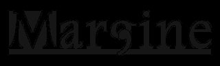 Margine logo in gray text