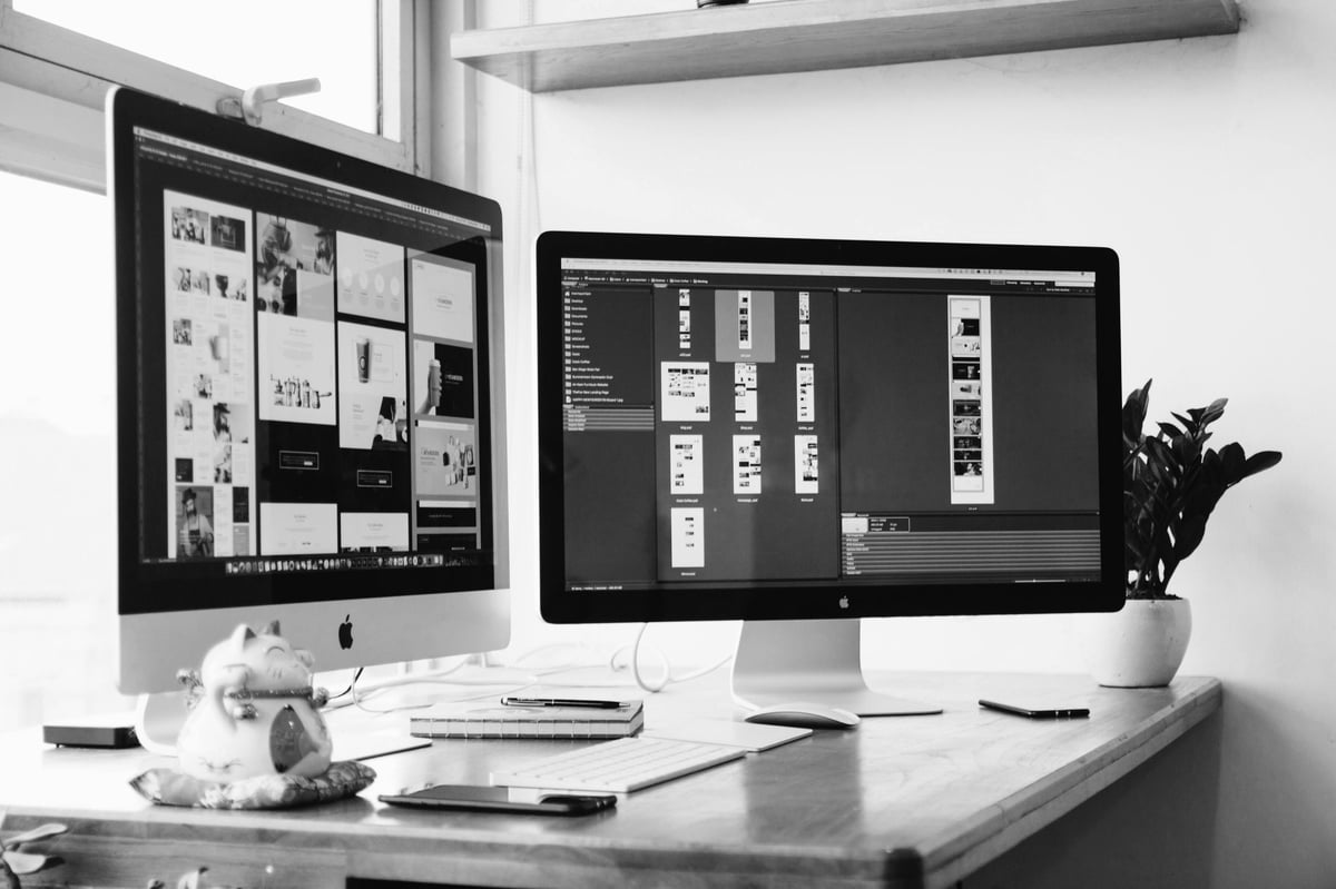 Designer workspace with two desktop monitors displaying design software, desk supplies, and potted plant in black and white